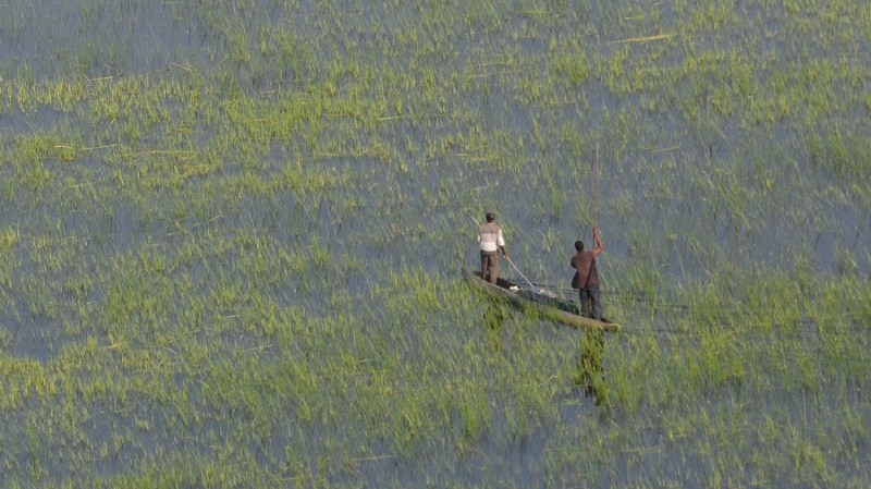 namibija-in-bocvana-2016-3634