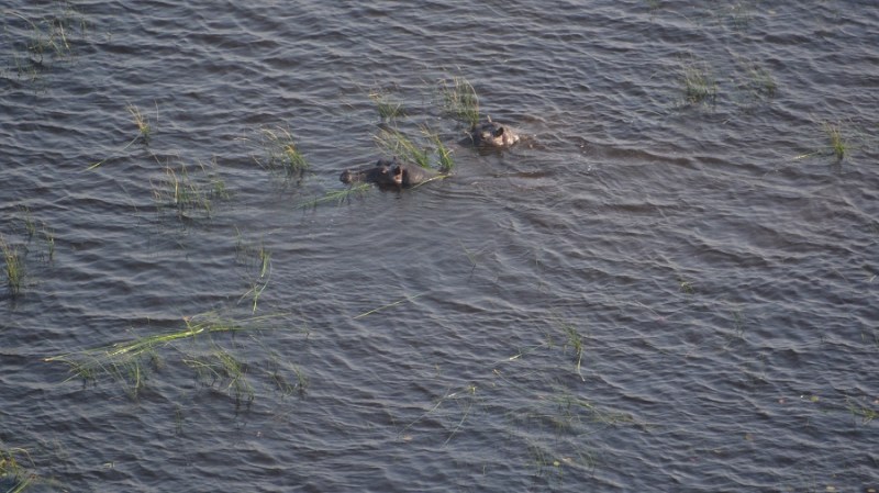 namibija-in-bocvana-2016-3661