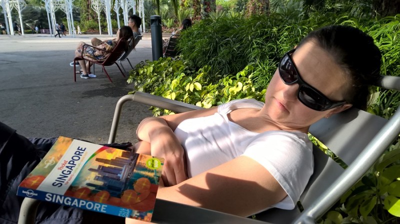 wp_20161029_17_02_07_pro