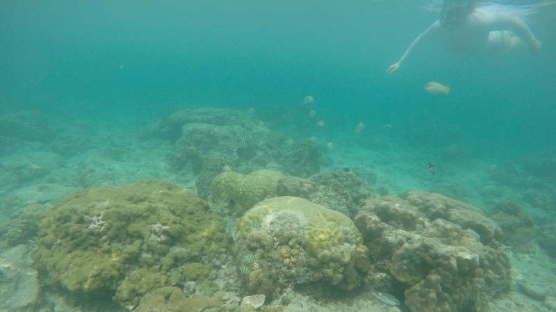 DCIM100GOPROGOPR1221.