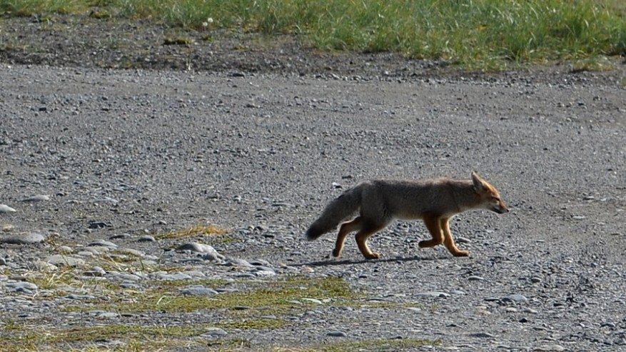 Argentina, Cile in Bolivija 2017 (1003)