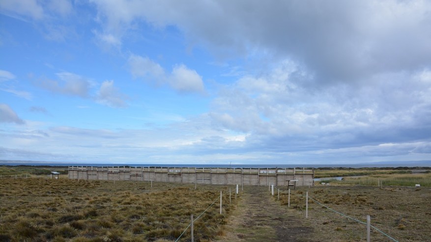 Argentina, Cile in Bolivija 2017 (1028)