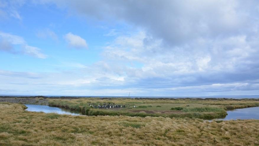 Argentina, Cile in Bolivija 2017 (1029)