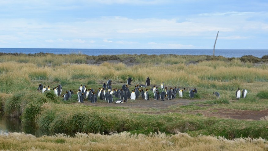 Argentina, Cile in Bolivija 2017 (1030)