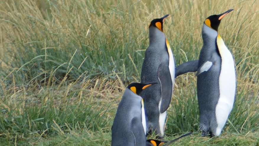 Argentina, Cile in Bolivija 2017 (1041)