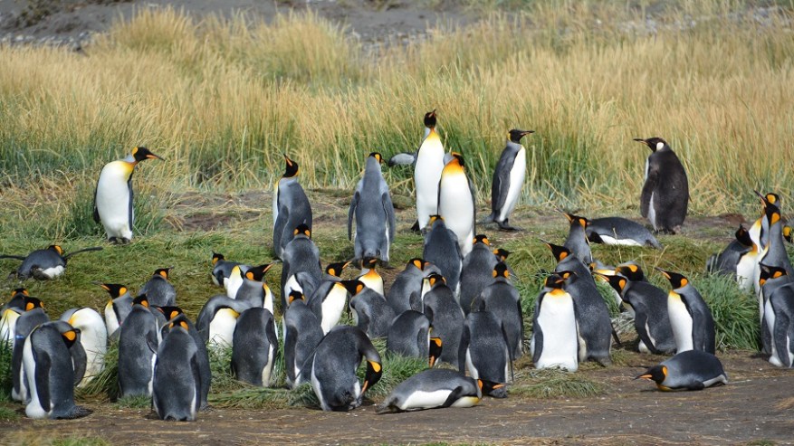 Argentina, Cile in Bolivija 2017 (1056)