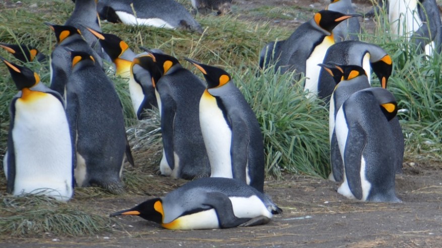 Argentina, Cile in Bolivija 2017 (1071)