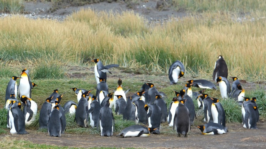 Argentina, Cile in Bolivija 2017 (1109)