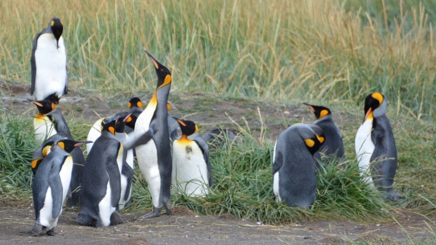 Argentina, Cile in Bolivija 2017 (1111)