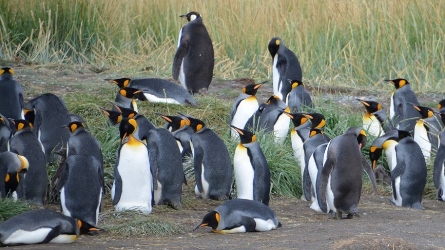 Argentina, Cile in Bolivija 2017 (1163)