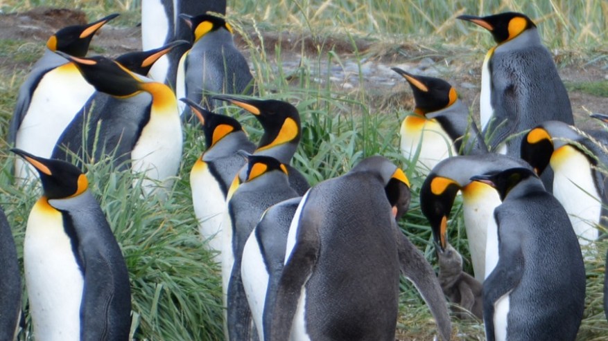 Argentina, Cile in Bolivija 2017 (1168)