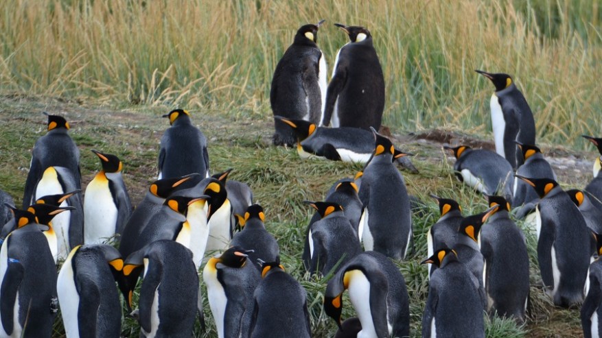 Argentina, Cile in Bolivija 2017 (1247)