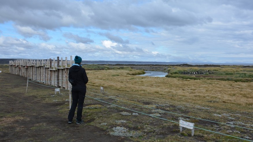 Argentina, Cile in Bolivija 2017 (1276)