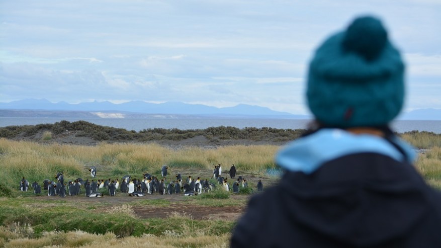 Argentina, Cile in Bolivija 2017 (1279)