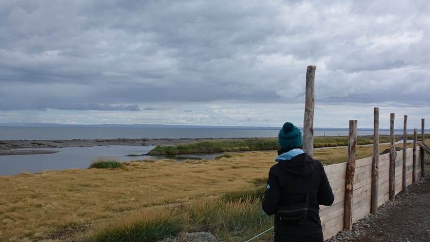 Argentina, Cile in Bolivija 2017 (1299)