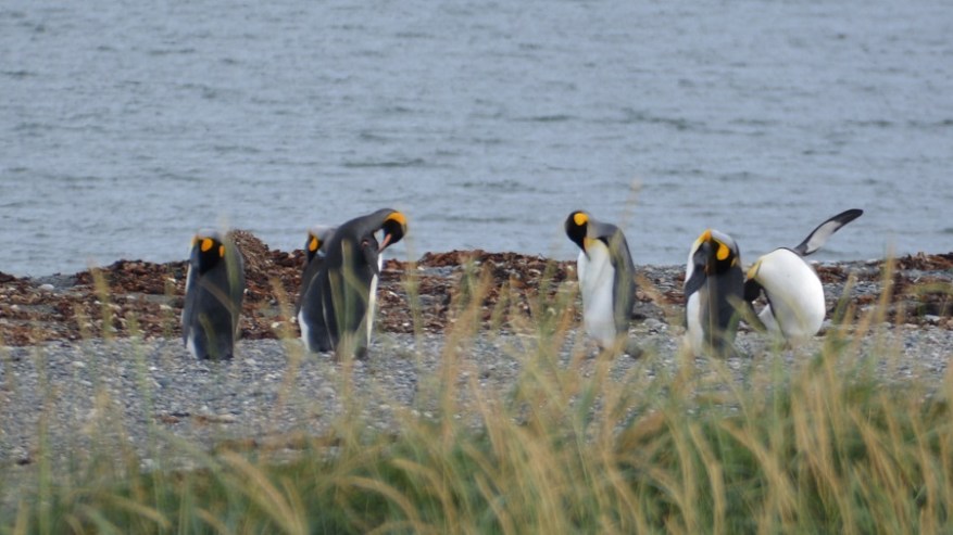 Argentina, Cile in Bolivija 2017 (1301)