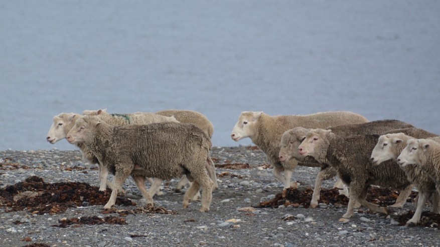 Argentina, Cile in Bolivija 2017 (1324)