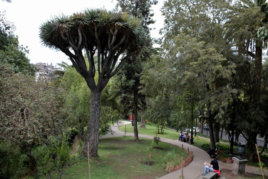 argentina-cile-in-bolivija-2017-133