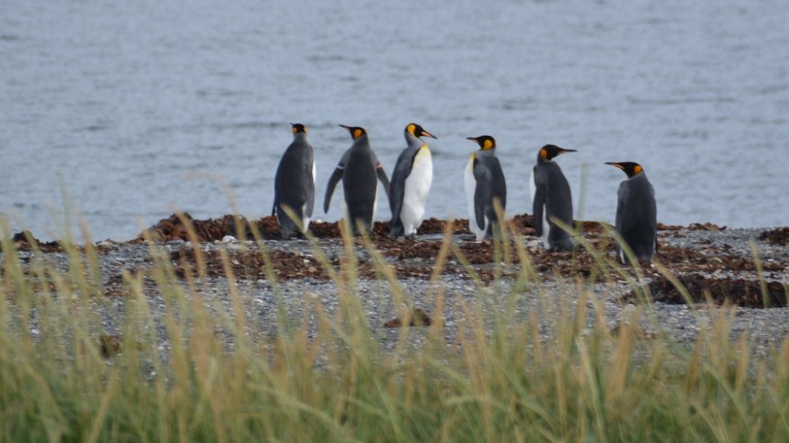 Argentina, Cile in Bolivija 2017 (1344)