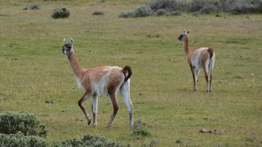 Argentina, Cile in Bolivija 2017 (1401)