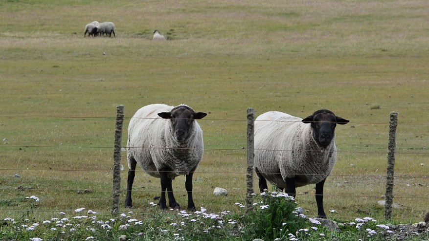 Argentina, Cile in Bolivija 2017 (1411)