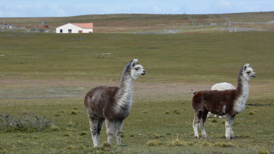 Argentina, Cile in Bolivija 2017 (1465)
