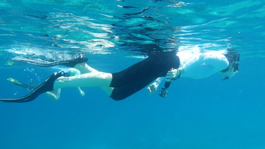 Daymanyat Shells (26)