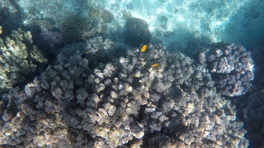 DCIM100GOPROGOPR6847.