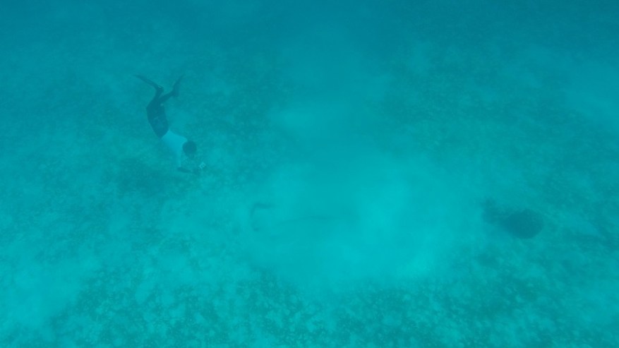 DCIM100GOPROGOPR6896.