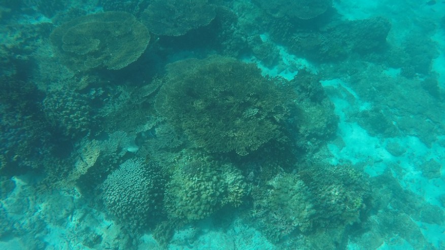 DCIM100GOPROGOPR6917.