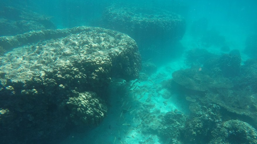 DCIM100GOPROGOPR6927.