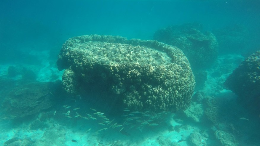 DCIM100GOPROGOPR6932.