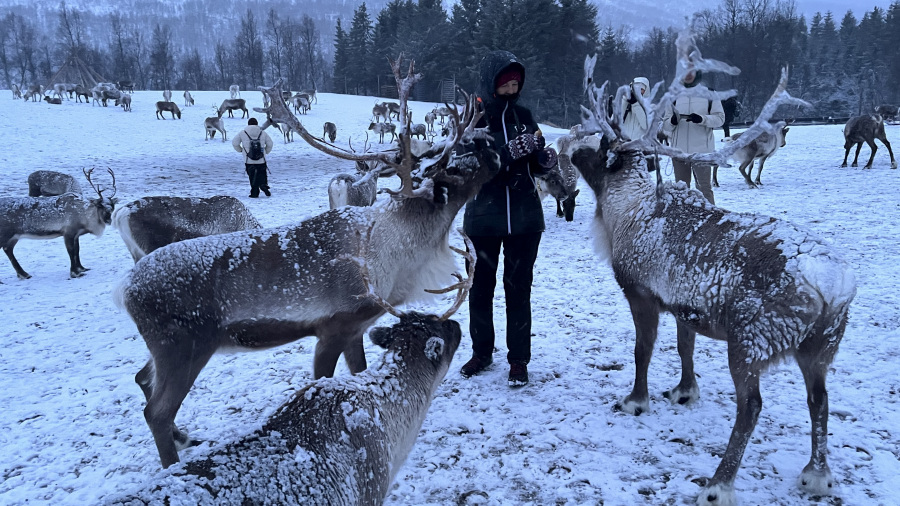 NORVEŠKA 2025: Načrt potovanja (4 dni)