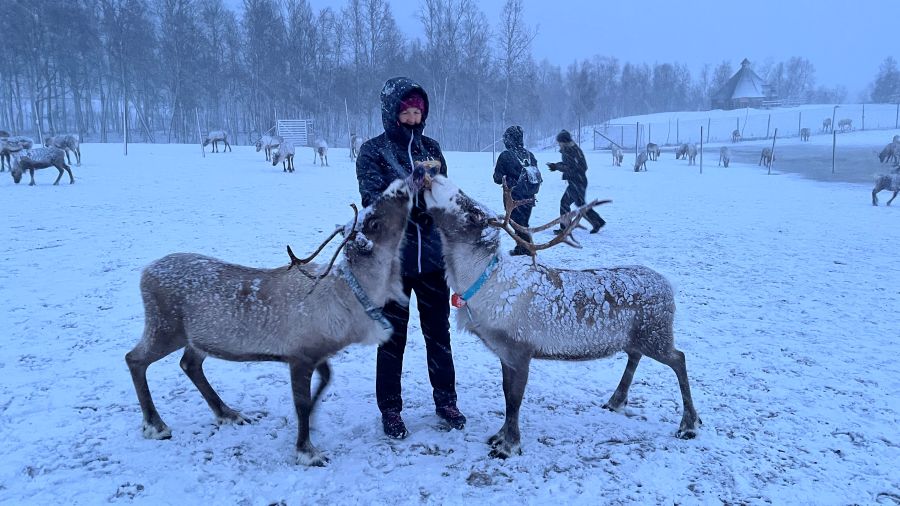 NORVEŠKA 2025: Kdaj, zakaj in kako?